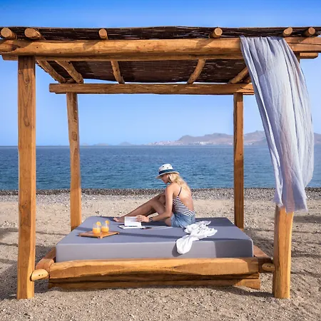 Mitsis Ramira פסאלידי